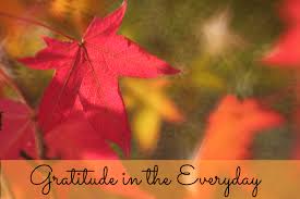 Attitude of Gratitude
